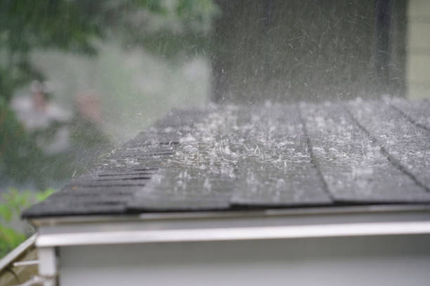 Best Roof Ventilation Installation  in Kenbridge, VA
