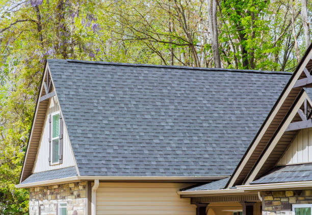 Best Roof Coating and Sealing  in Kenbridge, VA