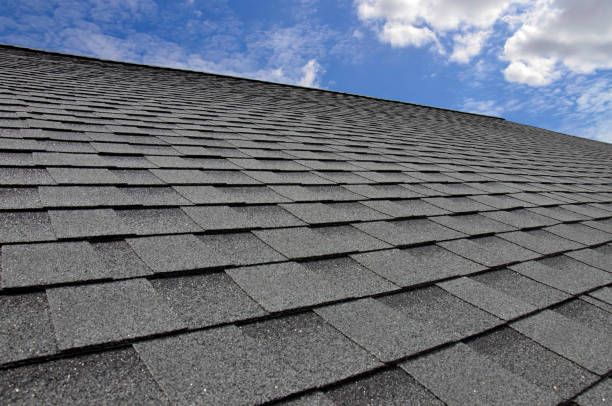 Best Roof Maintenance and Cleaning  in Kenbridge, VA